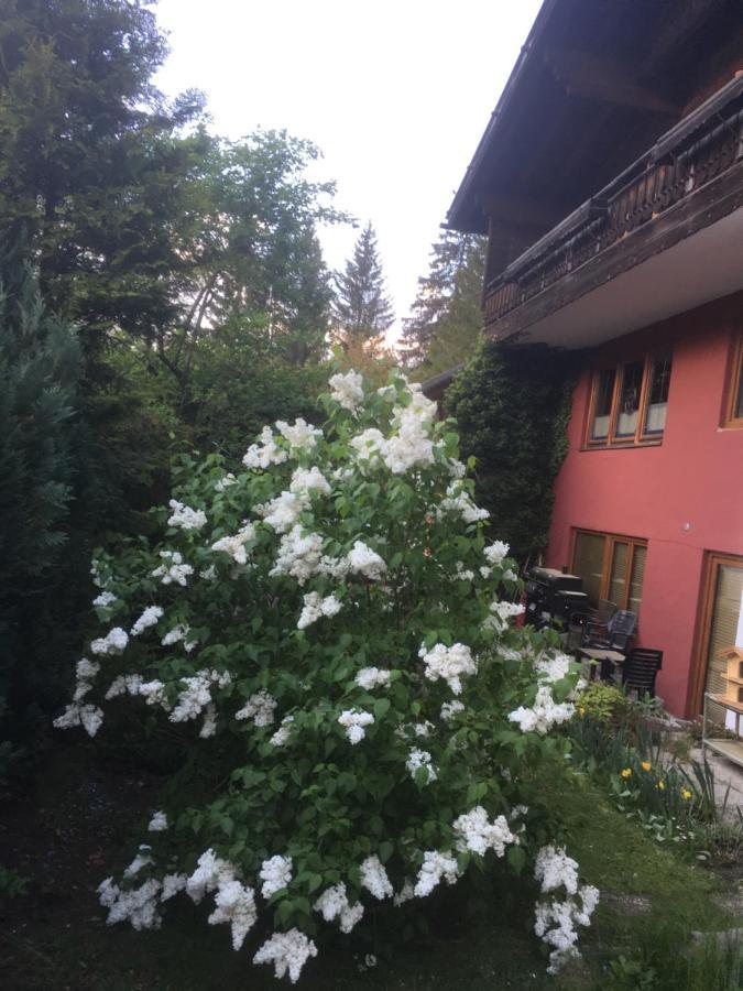 Ferienhaus Wieswald Έρβαλντ Εξωτερικό φωτογραφία